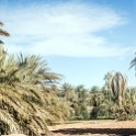 MAR DRA RoadR702 2017JAN03 001 : 2016 - African Adventures, 2017, Africa, Date, Drâa-Tafilalet, January, Month, Morocco, Northern, Places, Road R702, Trips, Year